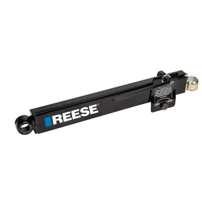 Reese Friction Sway Control