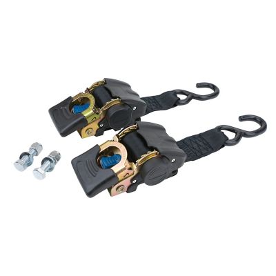 Reese Powersports 2.5 in. x 10 in. 833 lb. Capacity Transom Retractable Ratchet Tie-Downs