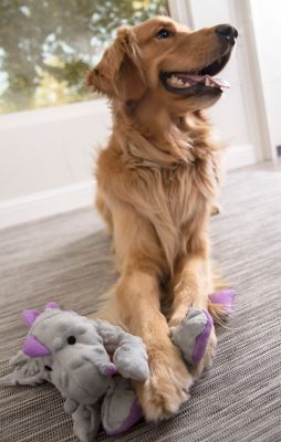 Image showing  Large Dragons Squeaky Plush Dog Toy with Chew Guard Technology, Gray