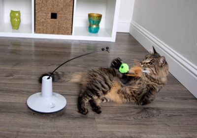 Image showing  Pure Commotion Electronic Motion Wand Cat Toy, One Size, Multi Color, Battery Powered