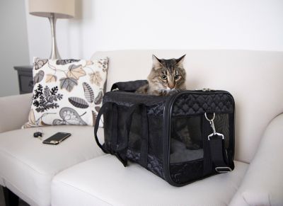 Image showing 6 th Sherpa Airline-Approved Original Deluxe Large Polyester Travel Pet Carrier, Black Lattice