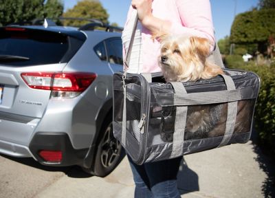 Image showing  Airline-Approved Original Deluxe Medium Polyester Travel Pet Carrier, Gray