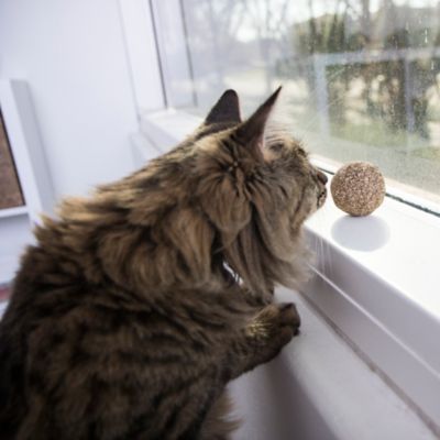 Image showing  Catnip Kiss Compressed Catnip Ball Cat Toys, Natural, 5 ct.