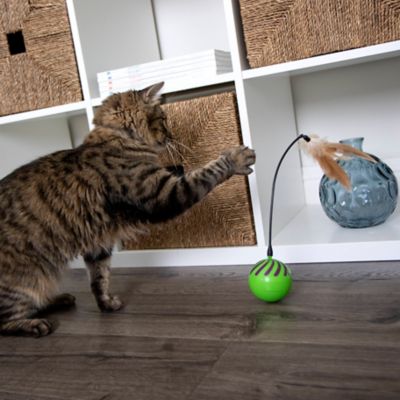 Image showing 3 th SmartyKat Feather Whirl Electronic Motion Cat Toy with Replacement Wand