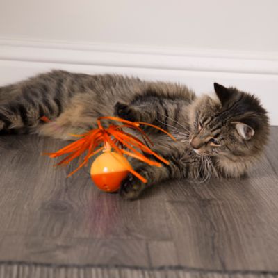 Image showing  Twirly Top Electronic Motion Ball Cat Toy, 2-Pack