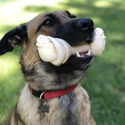 Image showing  12 in. American Beefhide Chicken Flavor Bone Dog Chew Treat