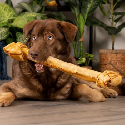 Image showing  21 in. American Beefhide Chicken Flavor Bone Dog Chew Treat