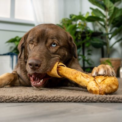 Image showing  12 in. American Beefhide Peanut Butter Flavor Bone Dog Chew Treat