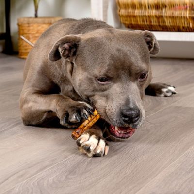 Image showing  5 in. American Beefhide Beef and Chicken Flavor Chip Rolls Dog Chew Treats, 50 ct.
