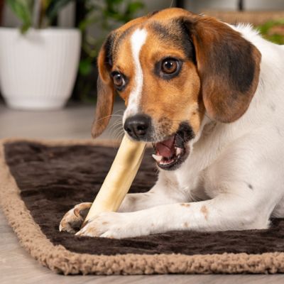 Image showing  5 in. American Beefhide Natural Flavor Chip Rolls Dog Chew Treats, 50 ct.