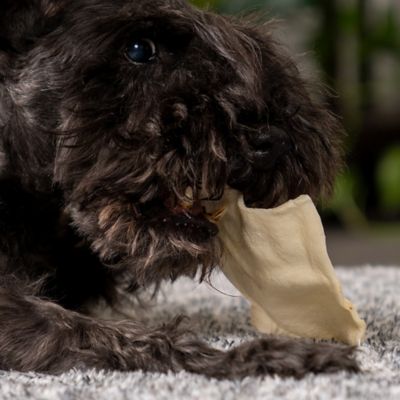 Image showing  American Beefhide Chips Natural Flavor Dog Chews, 22 oz.