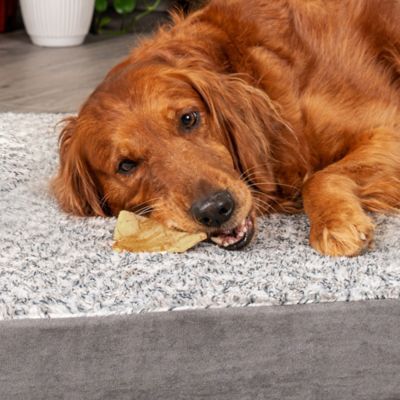 Image showing  American Beefhide Chips Peanut Butter Flavor Dog Chews, 22 oz.