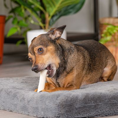 Image showing 8 th Pet Factory 3 in. American Beefhide Natural Flavor Mini Rolls Dog Chew Treats, 40 ct.