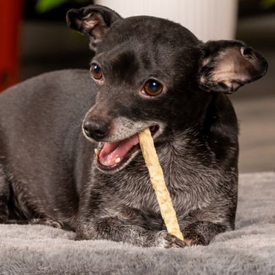 Image showing  5 in. American Beefhide Natural Flavor Munchy Mini Rolls Dog Chew Treats, 1.5 lb.