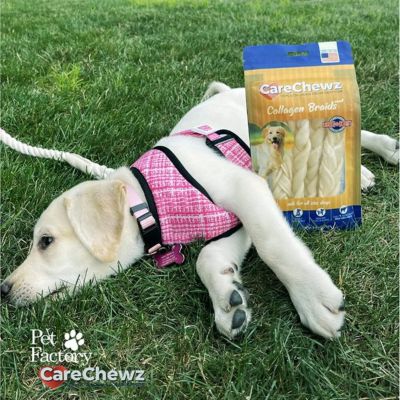 Image showing  6-7 in. CareChewz Chicken Marinade Flavor Collagen Skinny Braid Sticks Dog Chew Treats, 15 ct.