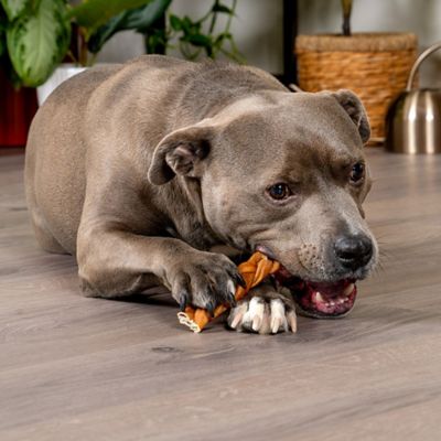 Image showing  6-7 in. CareChewz Chicken Marinade Flavor Collagen Skinny Braid Sticks Dog Chew Treats, 15 ct.