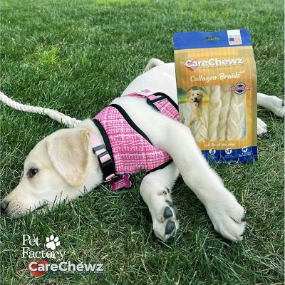 Image showing 5 th Pet Factory 6-7 in. CareChewz Natural Flavor Collagen Skinny Braid Sticks Dog Chew Treats, 15 ct.