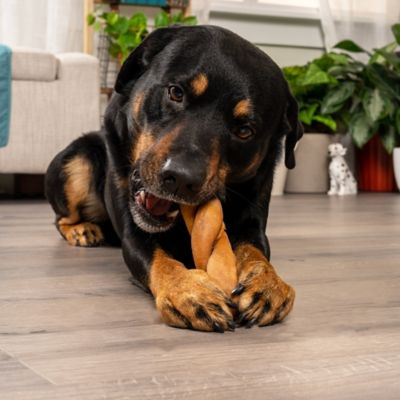 Image showing  6-7 in. CareChewz Chicken Marinade Flavor Collagen Twist Keys Dog Chew Treats, 6 ct.