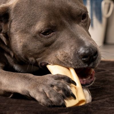 Image showing  6-7 in. CareChewz Natural Flavor Small Collagen Wraps Dog Chew Treats, 12 ct.