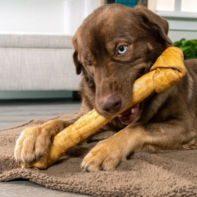 Image showing  15 in. American Beefhide Chicken Flavor Bone Dog Chew Treat