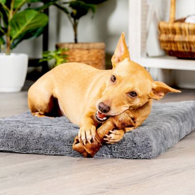 Image showing  6 in. American Beefhide Beef Flavor Bones Dog Chew Treats, 12 ct.