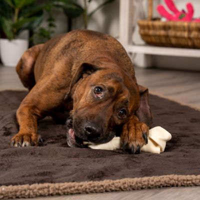 Image showing  6-7 in. American Beefhide Natural Flavor Bone Dog Chew Treats, 8 ct.