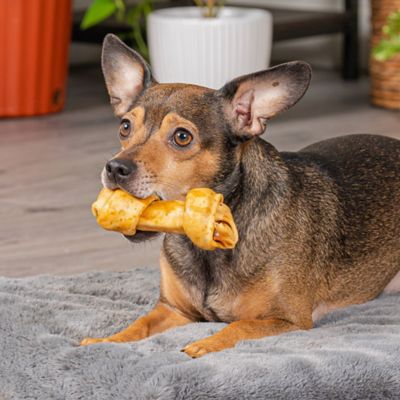 Image showing  4 in. American Beefhide Peanut Butter Flavor Bones Dog Chew Treats, 24 ct.