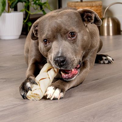 Image showing  7 in. American Beefhide Natural Flavor Braided Sticks Dog Chew Treats, 6 ct.