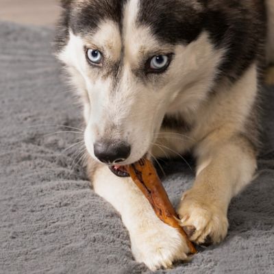 Image showing  5 in. American Beefhide Beef and Chicken Flavor Chip Rolls Dog Chew Treats, 18 ct.