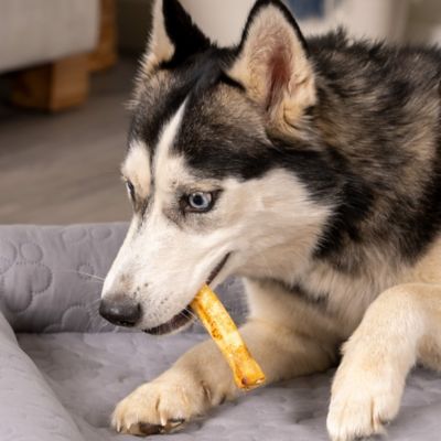 Image showing  5 in. American Beefhide Beef and Chicken Flavor Chip Rolls Dog Chew Treats, 20 ct.