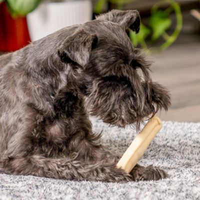 Image showing 1 th Pet Factory 5 in. American Beefhide Natural Flavor Chip Rolls Dog Chew Treats, 22 ct., 78704