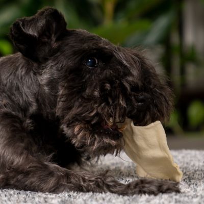 Image showing 9 th Pet Factory American Beefhide Natural Flavor Chips Dog Chew Treats, 8 oz.