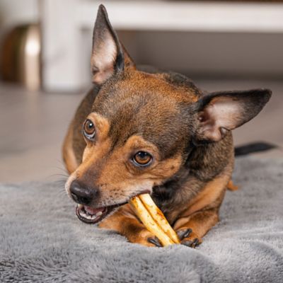 Image showing  3-3.5 in. American Beefhide Chicken Flavor Mini Rolls Dog Chew Treats, 35 ct.