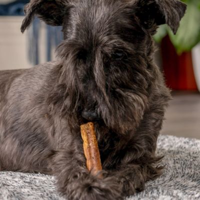 Image showing  3-3.5 in. American Beefhide Peanut Butter Flavor Mini Rolls Dog Chew Treats, 35 ct.