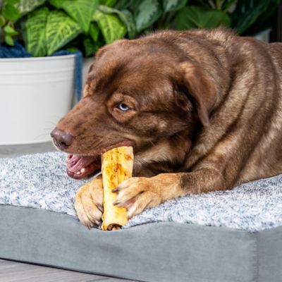 Image showing  10 in. American Beefhide Peanut Butter Flavor Made in USA Beefhide Roll Dog Chew Treat