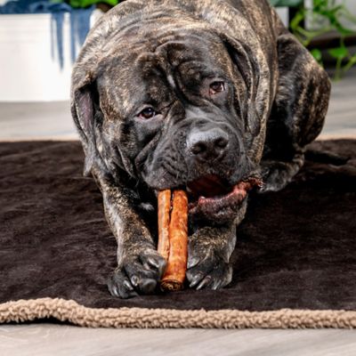 Image showing  8 in. American Beefhide Beef and Chicken Flavor Rolls Dog Chew Treats, 10 ct.