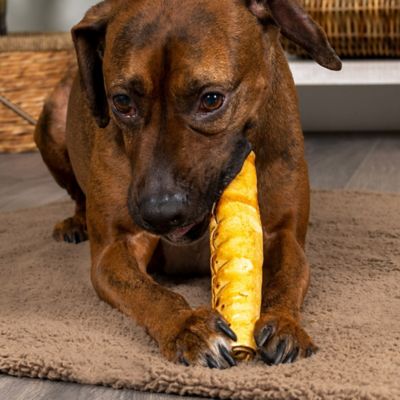 Image showing  8 in. American Beefhide Chicken Flavor Rolls Dog Chew Treats, 15 ct.