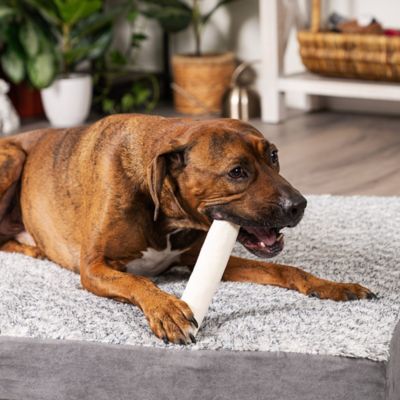 Image showing  8 in. American Beefhide Natural Flavor Rolls Dog Chew Treats, 10 ct.