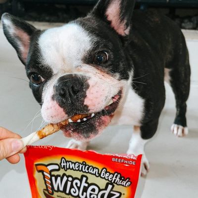 Image showing  5 in. Twistedz American Beefhide Chip Roll Dog Chew Treats with Pork Meat Wrap, 8 ct.