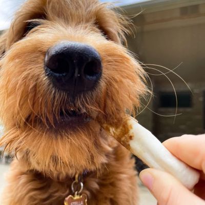 Image showing  5 in. Twistedz American Beefhide Twist Stick Dog Chew Treats with Pork Meat Wrap, 20 ct.