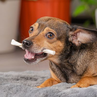 Image showing  5 in. Twistedz American Beefhide Twist Stick Dog Chew Treats with Pork Meat Wrap, 20 ct.
