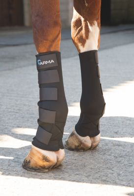 Image showing  ARMA Mud Horse Socks, 2 ct.