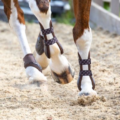 Image showing 1 th Shires ARMA Carbon Tendon Horse Boots, 1 Pair