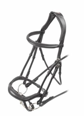 Shires Rapida Ergonomic Flash Bridle