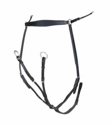 Image showing  Rapida Breastplate