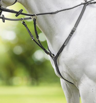 Image showing  Rapida Breastplate