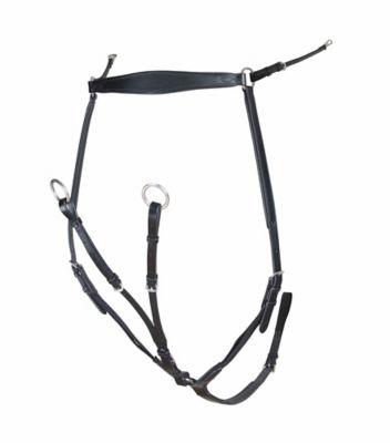 Shires Rapida Breastplate