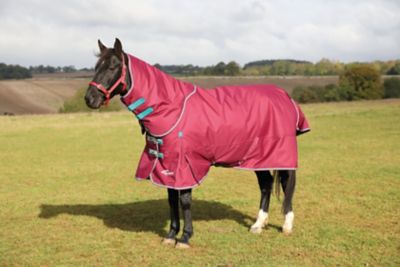 Shires Highlander Plus 300g Turnout Horse Blanket