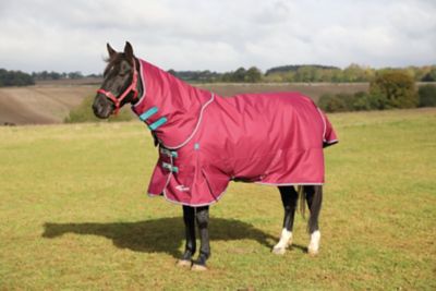 Shires Highlander Plus Horse Turnout Blanket, 300g