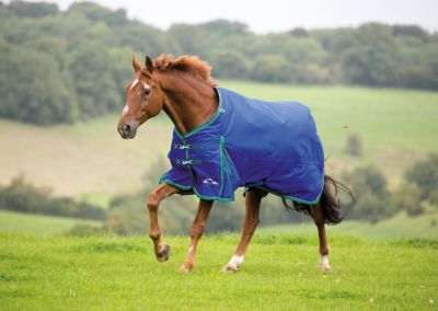 Shires Highlander Plus 200g Turnout Horse Blanket